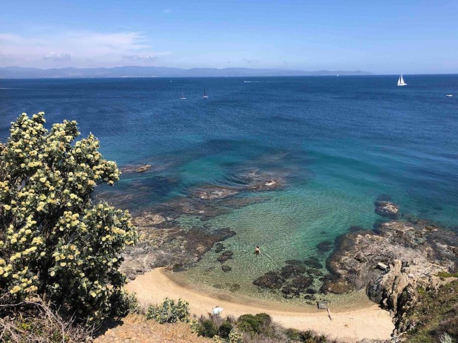 Appartement Proche Toutes Commodites Toulon Dış mekan fotoğraf